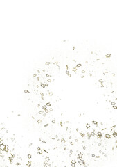 Stars - golden stars -