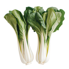 Bok choy vegetables like cabbage and broccoli.