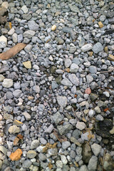 hundreds of small, brightly colored pebbles in a garden
