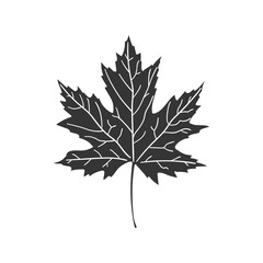 Maple Leaf Icon Silhouette Illustration. Canada Vector Graphic Pictogram Symbol Clip Art. Doodle Sketch Black Sign.