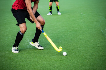 Hokey field sports photo-themed: Professional hockey field athletes playing in a match.	