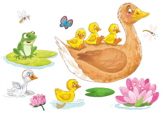 Ugly duckling. Fairy tale. Coloring page. Coloring book. Illustration for children. Cute and funny cartoon characters