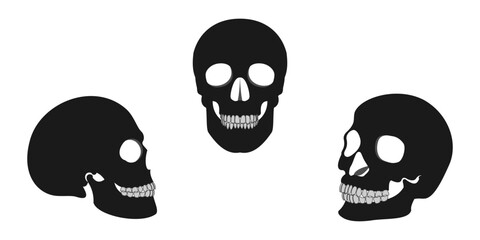 human skull icon set. vector illustration isolated on white background.