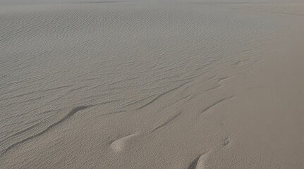 Obraz premium White sand texture background