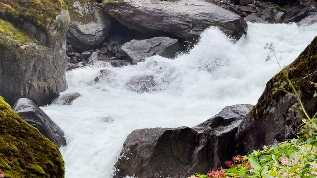 Powerful mountain river slow mo running through the big boulders down foggy rain forest valley in Makalu Barun National Park near Chatra Khola settlement. Mera peak climbing route, Himalayas, Nepal.