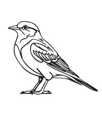 Obraz premium Skylark Bird Victor Design