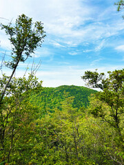 山頂から見る風景