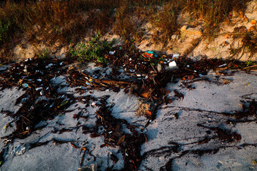 Waste products scattered on the beach.