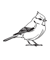 Obraz premium Titmouse Bird Victor Design