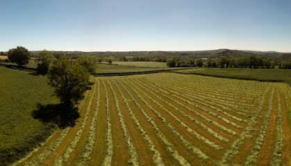 freshly mown bright agricultural field aerial drone view of green landscape