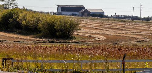 Scenes from around Rocky View County, Alberta Canada