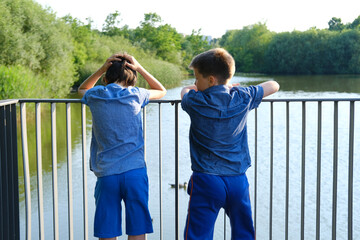 boys, children study nature, admire lake, Children captivated by serene view lake while embracing...