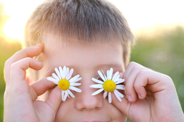 happy happy romantic boy 8 years old holding chamomile flower front of eyes, enjoy life, human...
