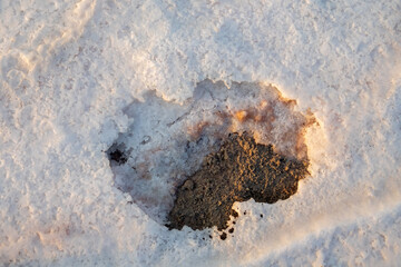 The illusion of vision. It's not a thaw in the ice crust, it's a dip in the salt crust