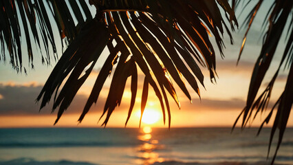 Sunset behind palm tree leaves 16:9 with copyspace