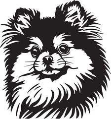 Obraz premium black and white pomeranian spitz dog illustration