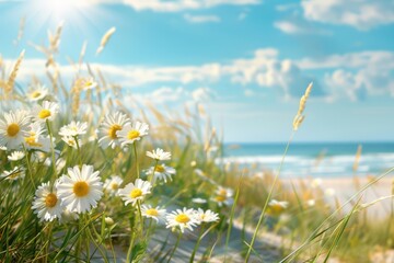 Daisies blossoming among coastal grasses on a sandy beach, with the sun shining brightly overhead and the calm ocean stretching toward the horizon. Summer background - 811150011