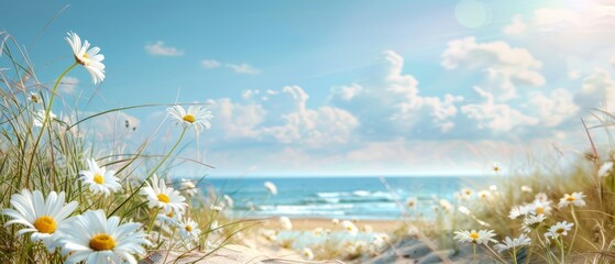 Summer background, daisies bloom on a sandy beach under a bright summer sky. Sunlight warms sea grasses and wildflowers. Ocean waves lap at the shore, creating a tranquil coastal scene - 811150013