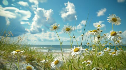 Summer background, daisies bloom on a sandy beach under a bright summer sky. Sunlight warms sea grasses and wildflowers. Ocean waves lap at the shore, creating a tranquil coastal scene - 811150019