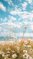 Summer background, daisies bloom on a sandy beach under a bright summer sky. Sunlight warms sea grasses and wildflowers. Ocean waves lap at the shore, creating a tranquil coastal scene - 811150049