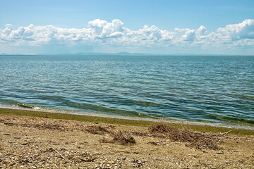 Lake Sivash in the northeastern hypersalted part