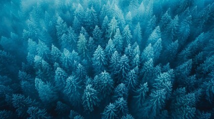 Imagine a mesmerizing aerial perspective of a vast pine forest blanketed in slate blue mist, evoking a sense of mystery and tranquility, with hints of unseen wildlife