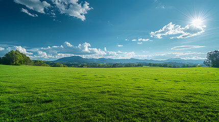 A sunny day over a green field with a blue sky and clouds