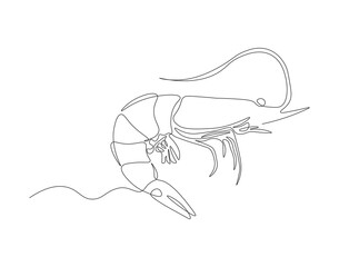 Continuous one line drawing of shrimp. One line drawing illustration of shrimp. Marine animal concept continuous line art. Editable outline.
