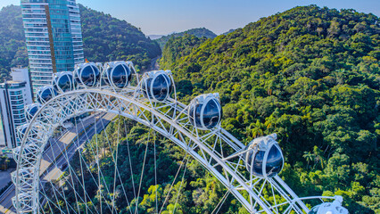 Roda Gigante na Mata