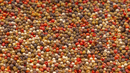 Four Color Pepper Blend Mix in Bulk at Spice Market