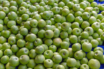 Granny Smith ApplesBig Bunch of Granny Smith Sour Green Apples