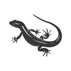 Fototapeta premium Silhouette salamander animal black color only