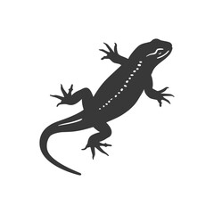 Naklejka premium Silhouette salamander animal black color only