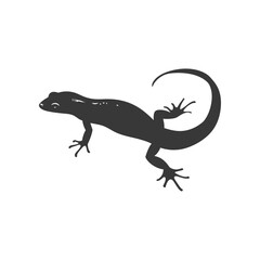 Naklejka premium Silhouette salamander animal black color only