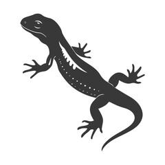 Silhouette salamander animal black color only