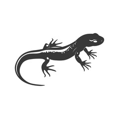 Naklejka premium Silhouette salamander animal black color only