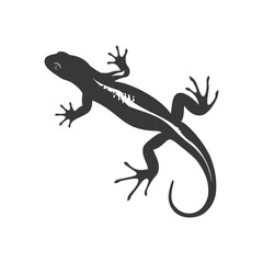 Naklejka premium Silhouette salamander animal black color only