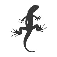 Naklejka premium Silhouette salamander animal black color only