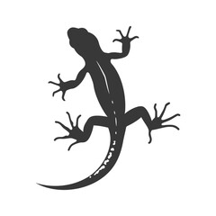 Silhouette salamander animal black color only