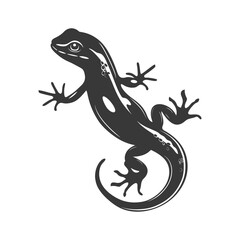 Fototapeta premium Silhouette salamander animal black color only