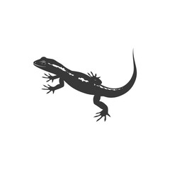 Naklejka premium Silhouette salamander animal black color only
