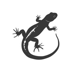 Naklejka premium Silhouette salamander animal black color only