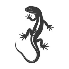 Fototapeta premium Silhouette salamander animal black color only