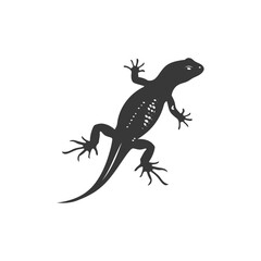 Silhouette salamander animal black color only