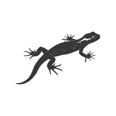 Naklejka premium Silhouette salamander animal black color only