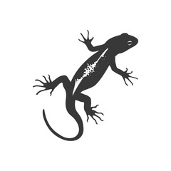 Silhouette salamander animal black color only