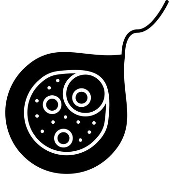 Euglenid Icon