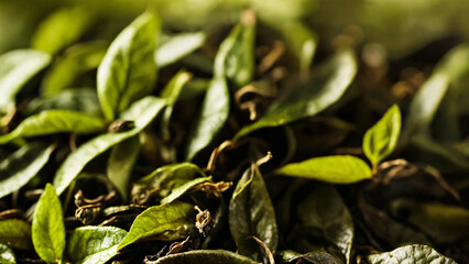 Tea leaves background 16:9 with copyspace