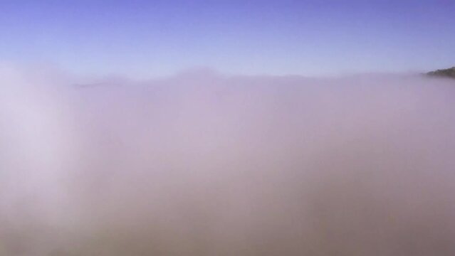 Rising above a fog bank