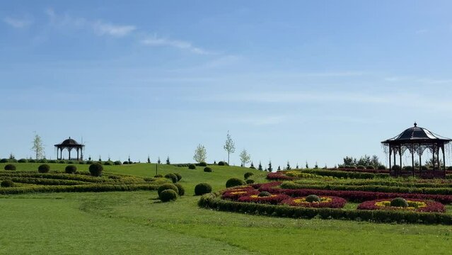 Beautiful landscaping in the park with lawns, ornamental shrubs, topiary balls.